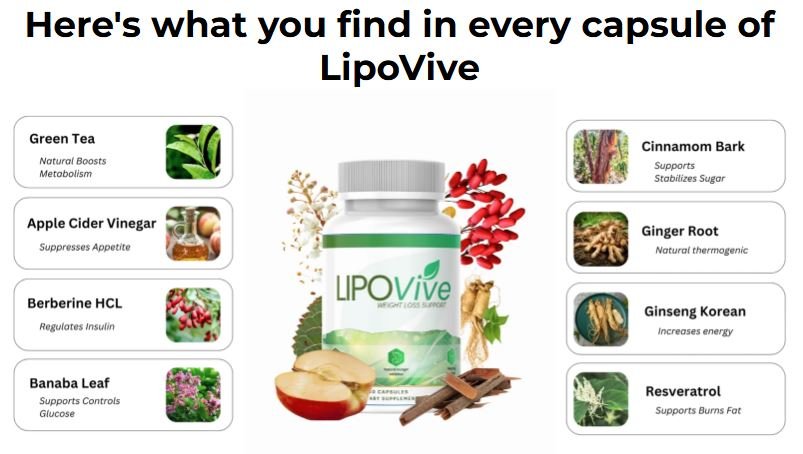 LipoVive Ingredients