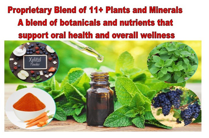 BioDentex Supplement Review