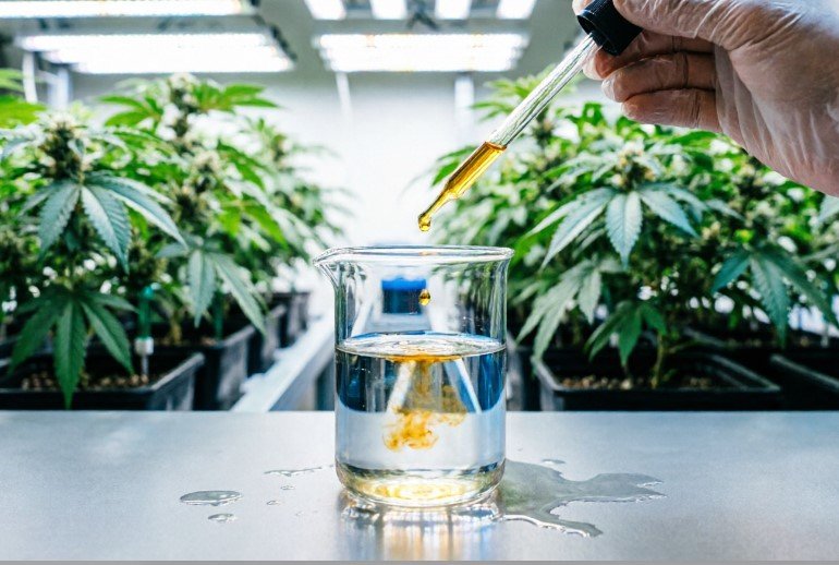 How to Dilute Terpenes to Spray