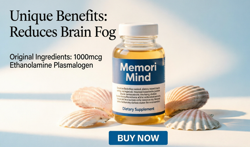 Memori Mind Review